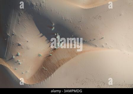 Aus der Vogelperspektive auf Sanddünen und Wüste, Mileha, Schardscha Emirat, Vereinigte Arabische Emirate. Stockfoto