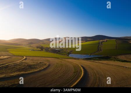 Aus der Vogelperspektive auf sanfte Hügel und Felder bei Sonnenuntergang in Cape Winelands, Südafrika. Stockfoto