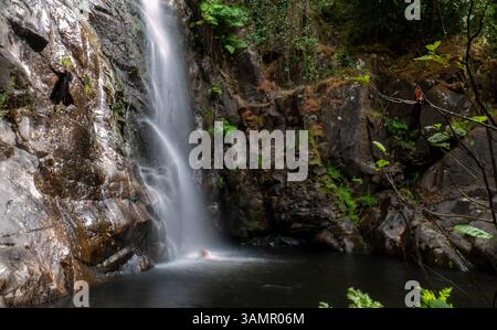 Ein ruhiger Wasserfall fließt über zerklüftete Felsen in einen kristallklaren Waldpool, umgeben von üppigem Grün. Diese ruhige Szene fängt die Schönheit von n ein Stockfoto