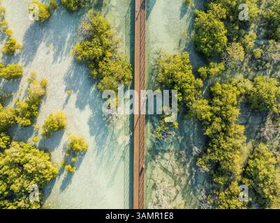 Luftaufnahme der Jubail Mangrove, Abu Dhabi, Vereinigte Arabische Emirate. Stockfoto