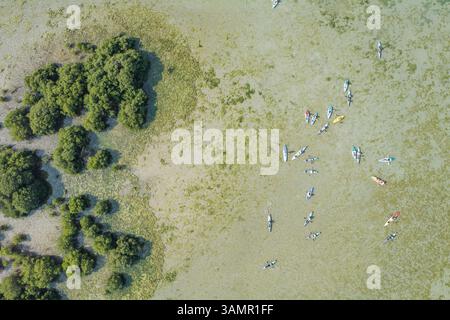 Blick aus der Vogelperspektive auf Jubail Mangrove mit Kajaktouren und üppigen grünen Bäumen, Abu Dhabi, Vereinigte Arabische Emirate. Stockfoto