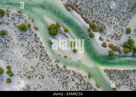 Luftaufnahme der Jubail Mangrove, Abu Dhabi, Vereinigte Arabische Emirate. Stockfoto