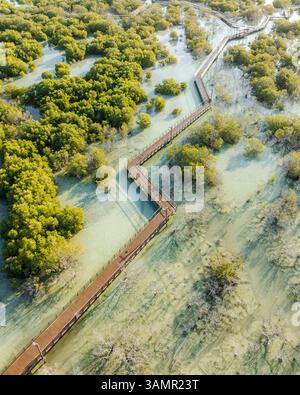 Luftaufnahme der Jubail Mangrove, Abu Dhabi, Vereinigte Arabische Emirate. Stockfoto