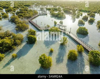 Luftaufnahme der Jubail Mangrove, Abu Dhabi, Vereinigte Arabische Emirate. Stockfoto