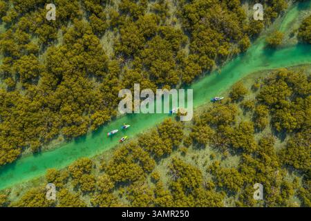 Aus der Vogelperspektive von Menschen, die in einem kleinen Fluss vor Abu Dhabi, Vereinigte Arabische Emirate, Kajak fahren. Stockfoto