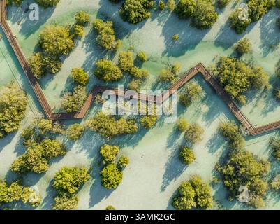 Luftaufnahme der Jubail Mangrove, Abu Dhabi, Vereinigte Arabische Emirate. Stockfoto