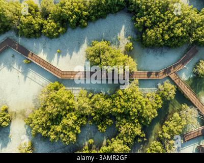Luftaufnahme der Jubail Mangrove, Abu Dhabi, Vereinigte Arabische Emirate. Stockfoto