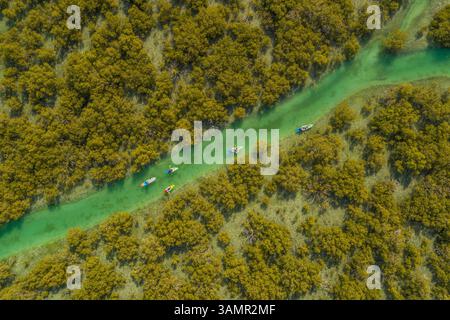 Aus der Vogelperspektive von Menschen, die in einem kleinen Fluss vor Abu Dhabi, Vereinigte Arabische Emirate, Kajak fahren. Stockfoto