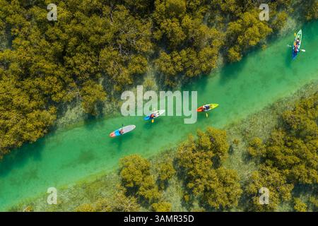 Aus der Vogelperspektive von Menschen, die in einem kleinen Fluss vor Abu Dhabi, Vereinigte Arabische Emirate, Kajak fahren. Stockfoto