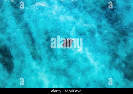 Aus der Vogelperspektive von zwei Mantarochen, die frei im blauen Ozean in der Nähe des Alifu Dhaalu Atolls, Alif Alif, Malediven schwimmen. Stockfoto
