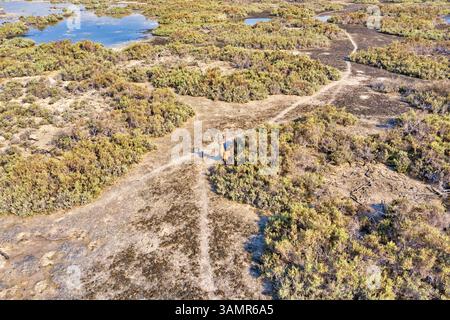 Blick aus der Vogelperspektive über dem Naturschutzgebiet Abu Al Sayayif, Abu Dhabi, Vereinigte Arabische Emirate Stockfoto