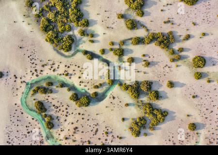 Blick aus der Vogelperspektive über dem Naturschutzgebiet Abu Al Sayayif, Abu Dhabi, Vereinigte Arabische Emirate Stockfoto