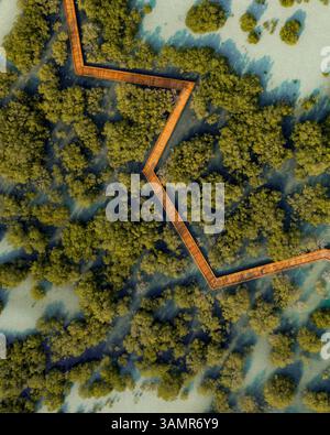Luftaufnahme über dem Jubail Mangrove Park in Abu Dhabi, Vereinigte Arabische Emirate Stockfoto
