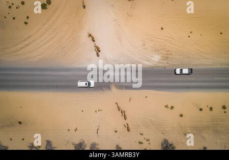 Luftaufnahme von zwei Autos und Kamelen auf der Wüstenstraße in Dubai, VAE. Stockfoto