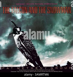 Pat Metheny - The Falcon and the Snowman - Vintage Vinyl-Cover Stockfoto