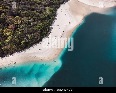 Aus der Vogelperspektive auf den Tallebudgera Creek mit Menschen, die im Wasser schwimmen und sonnen, Gold Coast, Australien. Stockfoto