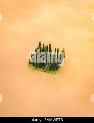 Aus der Vogelperspektive der toskanischen Zypressen, Val d'Orcia, Toskana. Stockfoto