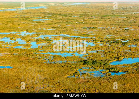 Luftaufnahme der Sumpfgebiete in Everglades, Palm Beach County, Florida, USA. Stockfoto