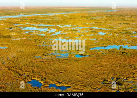 Aus der Vogelperspektive auf natürliche Feuchtgebiete und Flüsse in Everglades, Palm Beach County, Florida, USA. Stockfoto