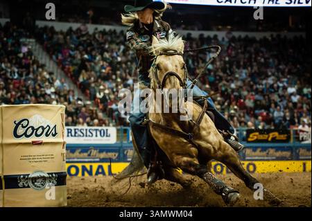 Dezember 2013 - Las Vegas, Nevada, U.. S - Barrel Racer - SHERRY CERVI, Marana, Arizona. Aktueller NFR-Stand nach Leistung Nr. 9 – 1. (Kreditbild: © Janet Kotwas/ZUMAPRESS.com) Stockfoto