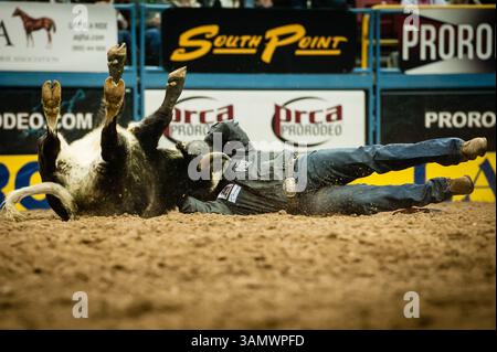 Dezember 2013 - Las Vegas, Nevada, U.. S - Steer Wrestler - STAN BRANCO, Chowchilla, Kalifornien. Platz 1 - Steer Wrestling. (Kreditbild: © Janet Kotwas/ZUMAPRESS.com) Stockfoto