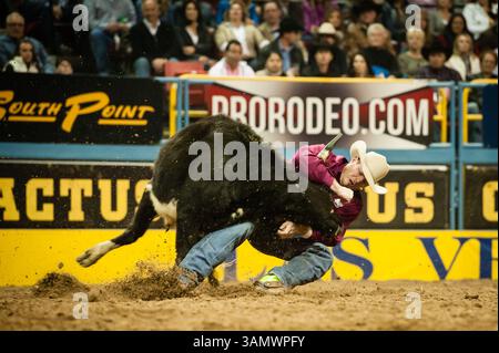 Dezember 2013 - Las Vegas, Nevada, U.. S - Steer Wrestler - HUNTER CURE, Holliday, Texas. Aktueller NFR-Stand nach Leistung Nr. 9 – 2. (Kreditbild: © Janet Kotwas/ZUMAPRESS.com) Stockfoto