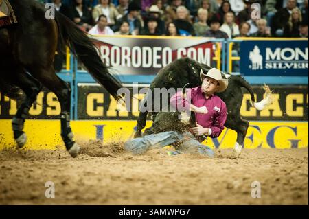 Dezember 2013 - Las Vegas, Nevada, U.. S - Steer Wrestler - HUNTER CURE, Holliday, Texas. Aktueller NFR-Stand nach Leistung Nr. 9 – 2. (Kreditbild: © Janet Kotwas/ZUMAPRESS.com) Stockfoto