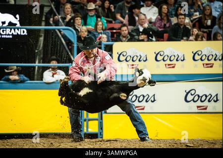 Dezember 2013 - Las Vegas, Nevada, U.. S - Tie Down Roper - CODY OHL, Hico, Texas. Aktueller NFR-Stand nach Leistung Nr. 9 – 1. (Kreditbild: © Janet Kotwas/ZUMAPRESS.com) Stockfoto