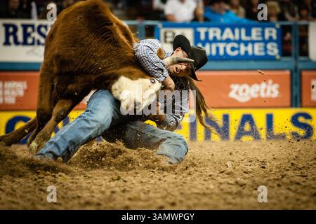 Dezember 2013 - Las Vegas, Nevada, U.. S - Steer Wrestler - MATT REEVES, Cross Plains, Texas. Aktueller NFR-Stand nach Leistung Nr. 9 – 1. (Bild: © Janet Kotwas/ZUMAPRESS.com) Stockfoto