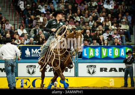 Dezember 2013 - Las Vegas, Nevada, U.. S - der am meisten dekorierte Cowboy in der Geschichte des Rodeos, TREVOR BRAZILE nach seiner Tie-Down-Seilperformance #9. (Kreditbild: © Janet Kotwas/ZUMAPRESS.com) Stockfoto