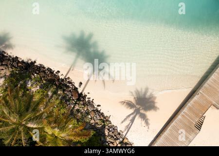 Blick Von Oben Nach Unten Auf Palmenschatten Am White Sand Beach In South Male, Malediven. Stockfoto