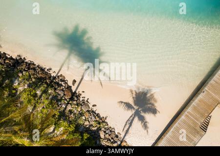Blick Von Oben Nach Unten Auf Palmenschatten Am White Sand Beach Neben Dem Holzsteg In South Male, Malediven. Stockfoto