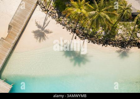 Blick Von Oben Nach Unten Auf Palmenschatten Am White Sand Beach In South Male, Malediven. Stockfoto