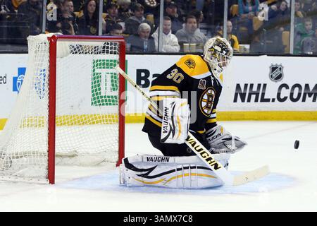 15. März 2014: Boston, Massachusetts, Vereinigte Staaten – 15. März 2014: Boston Bruins Torwart Chad Johnson (30) sichert sich während der zweiten Phase des NHL-Spiels zwischen den Carolina Hurricanes und Boston Bruins im TD Garden. Anthony Nesmith/CSM(Bild: © Anthony Nesmith/Cal Sport Media/ZUMAPRESS.com) Stockfoto