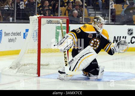 15. März 2014: Boston, Massachusetts, USA – 15. März 2014: Boston Bruins Torwart Chad Johnson (30) im zweiten Teil des NHL-Spiels zwischen den Carolina Hurricanes und Boston Bruins im TD Garden. Anthony Nesmith/CSM(Bild: © Anthony Nesmith/Cal Sport Media/ZUMAPRESS.com) Stockfoto