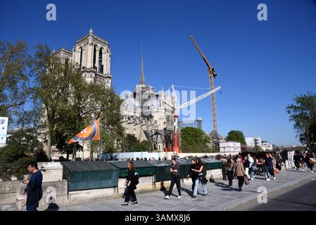 Paris, Frankreich. April 2025. Illustration von Notre Dame de Paris, Wiedereröffnung für pariser und Touristen. In Paris, Frankreich am 12. April 2025 Foto: Alain Apaydin/ABACAPRESS. COM Credit: Abaca Press/Alamy Live News Stockfoto