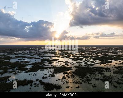 Luftaufnahme der Everglades mit Sawgrass, Coral Springs, Florida, USA. Stockfoto