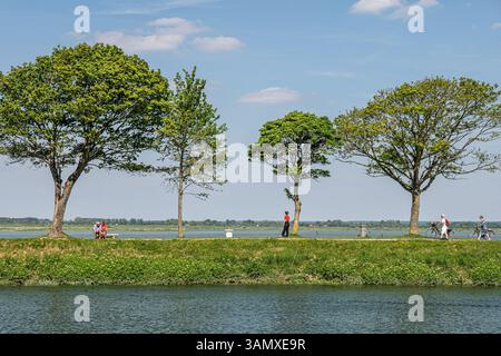 Saint-Valery-sur-Somme, regionaler Naturpark der Somme-Bucht (Nordfrankreich): Touristische Spaziergänge entlang des Deiches der Somme-Bucht Stockfoto