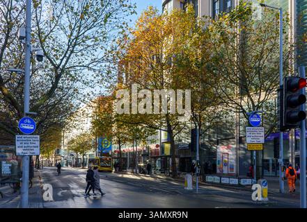 Geschäfte und Bäume in der Milton Street, Nottingham City Centre, England, Großbritannien Stockfoto
