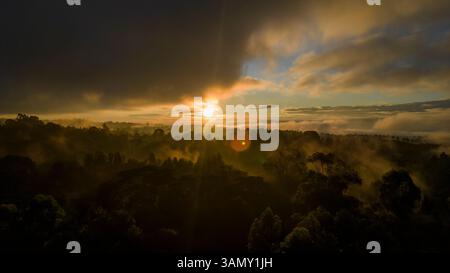 Aus der Vogelperspektive auf den ruhigen Sonnenaufgang über üppigen Wald mit Nebel und goldenem Licht, Tigoni, Limuru, Kenia. Stockfoto