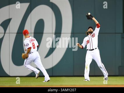 18. April 2014: Washington, DC, USA – der Rechtsfeldspieler Jayson Werth (28) der Washington Nationals, der am Freitag, 18. April 2014 im Nationals Park in Washington einen Fliegenball trifft, der von den St. Louis Cardinals Matt Holliday getroffen wird, als der zweite Baseman Danny Espinosa (8) im sechsten Inning abblättert. (Bild: © Harry E. Walker/MCT/ZUMAPRESS.com) Stockfoto