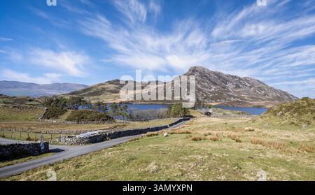 Landschaftsansicht des abgelegenen Lake Cregennan in den walisischen Bergen bei Dogellau, Gwnydd, Wales, Großbritannien am 9. April 2025 Stockfoto