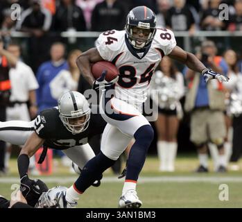 12. November 2006: Denver Broncos Wide Receiver Javon Walker (84) bricht die Oakland Raiders Defensive hinter Nnamdi Asomugha (21) und Stuart Schweigert (30), um im ersten Quartal einen Touchdown zu erzielen. Die Broncos besiegten die Raiders am Sonntag, den 12. November 2006, im McAfee Coliseum in Oakland, Kalifornien. (Jim Gensheimer/San Jose Mercury News/MCT) (Kreditbild: © Jim Gensheimer/mct/ZUMAPRESS.com) Stockfoto