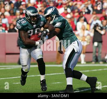 11. November 2007: Der Quarterback Donovan McNabb von Philadelphia Eagles tritt im ersten Quartal an Brian Westbrook an, als die Philadelphia Eagles am Sonntag, den 11. November 2007, gegen die Washington Redskins im FedEx Field in Landover (Maryland) antraten. (Linda D. Epstein/MCT) (Kreditaufnahme: © Linda D. Epstein/MCT/ZUMAPRESS.com) Stockfoto