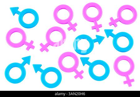 Rosafarbene weibliche und blaue männliche Geschlechtssymbole. 3D-Rendering isoliert auf weißem Hintergrund Stockfoto