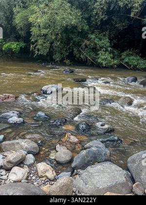 Ein sich schnell bewegender Fluss fließt über glatte Felsen in einem üppigen tropischen Regenwald, umgeben von dichtem Grün. Eine perfekte Szene mit unberührtem natürlichem bea Stockfoto