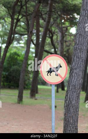 In einem ruhigen Park, der von üppigem Grün und Bäumen umgeben ist, steht ein Schild, das nicht erlaubt ist. Im Hintergrund spazieren ein Paar gemütlich auf einem Pfad Stockfoto