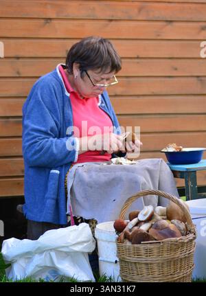 Seniorin sitzt und putzt Pilze in der ländlichen Gegend. Voller Korb mit frischen Pilzen, die darauf warten, gereinigt zu werden. Stockfoto