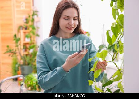 Frau, die die Anwendung zur Erkennung von Zimmerpflanzen auf dem Smartphone in Innenräumen verwendet Stockfoto