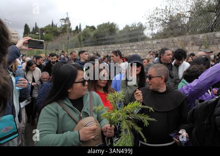 Christliche Pilger in der ganzen Welt singen und beten, während sie auf dem Mt. Oliven in einer Palmensonntagsprozession mit Palmenwedel und Olivenbaumzweigen. Stockfoto